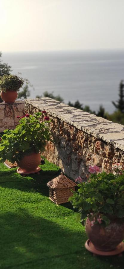 Villa Nereid Glafki - Enjoy Summer Sunsets Áyios Nikítas エクステリア 写真